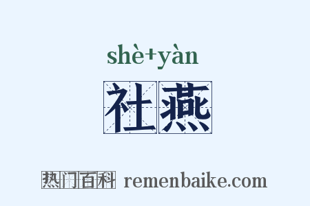 社燕是什么意思的图片